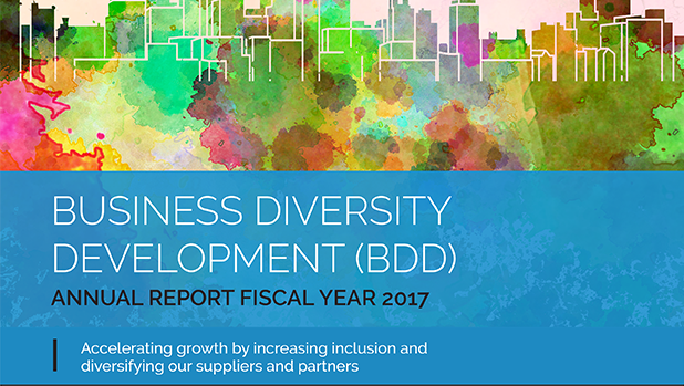 Business Diversity Development 2017 Annual Report Cover