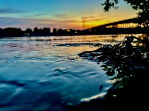 Beyond the Horizon - Jennifer McGregory, Bartlett High School