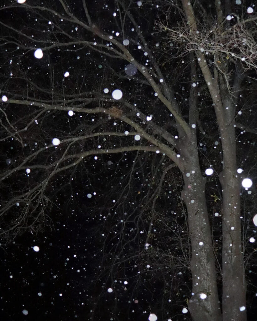 Entry010-snow-tonight-in-memphis