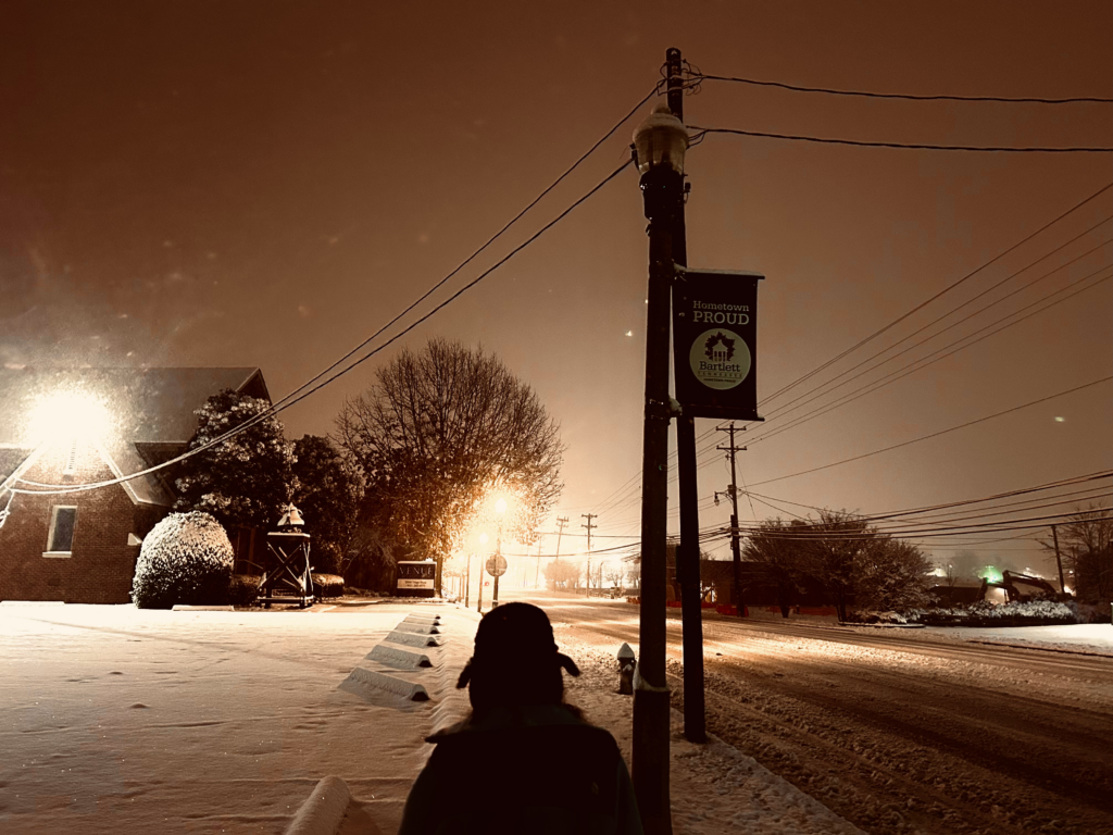 Entry084-Snowy Suburbs of Memphis