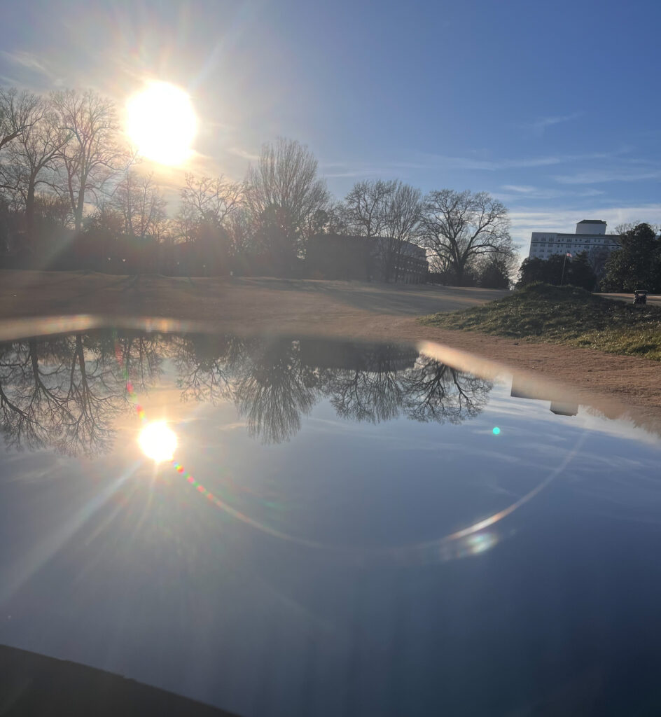 Entry160-A Beautiful Day