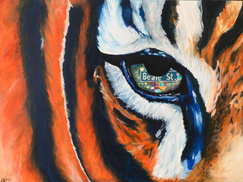 Joy Park, Tiger's Eye, Collierville High School